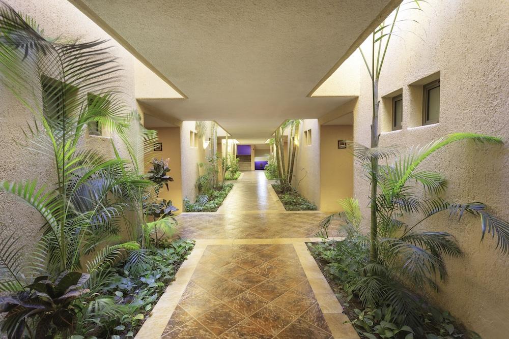 Hotel Los Patios Cabo San Lucas Esterno foto
